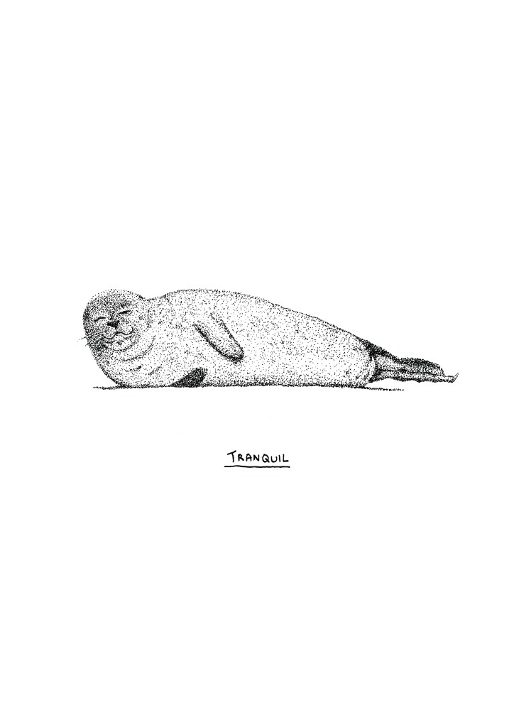 Tranquil